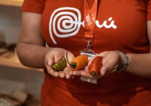 Lima: Ultimate Peruvian Food Tour - Meeting at Mirador Saénz Peña and getting oriented fast