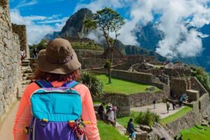Machu Picchu Day Trip from Cusco - Choosing your train: Expedition vs Vistadome vs higher classes