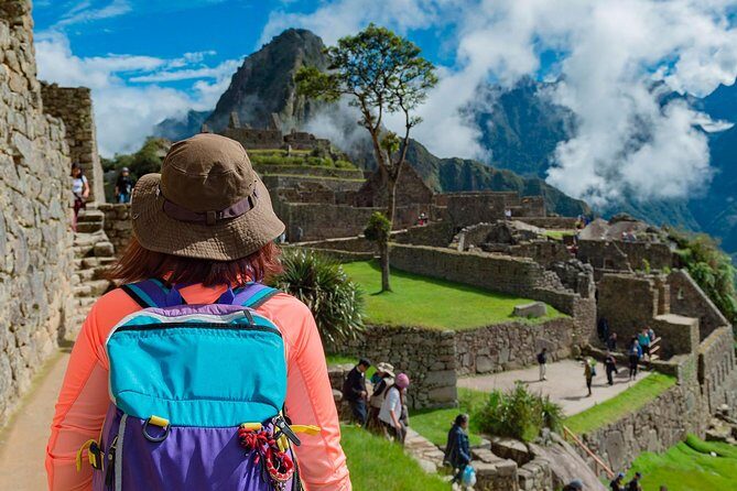 Machu Picchu Day Trip from Cusco - Choosing your train: Expedition vs Vistadome vs higher classes