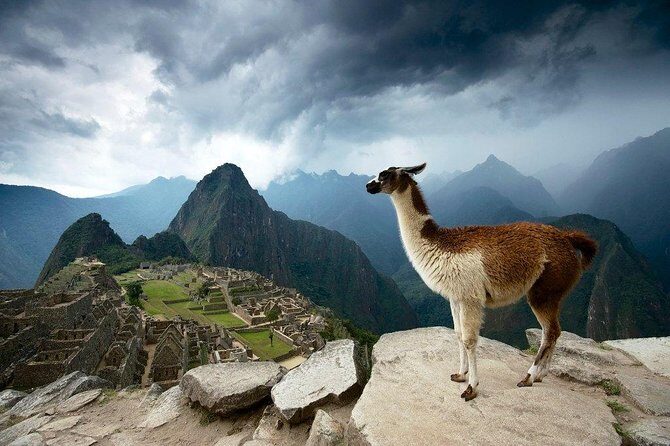 Machu Picchu Entrance Ticket - Two Ways to Enter Machu Picchu: Digital Ticket vs Circuit 2 Tour