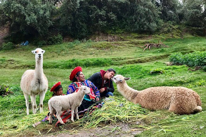 Machu Picchu Full Day from Cusco - Inside Machu Picchu: guided temples, built-in photo timing, and your circuit