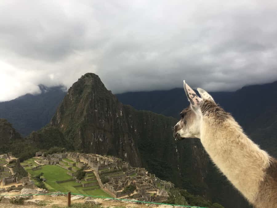 Machu Picchu: Private Tour Guide Service - Managing the crush: buses, lines, and checkpoint sanity