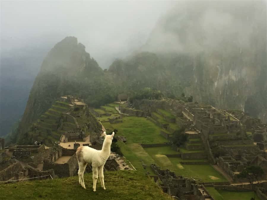 Machu Picchu: Private Tour Guide Service - What to pack and wear for Machu Picchu weather and comfort