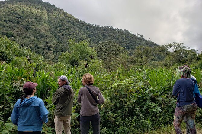 Manu National Park Tour 4days/3night - Hot Springs Break: Recovery Time You’ll Actually Thank Yourself For