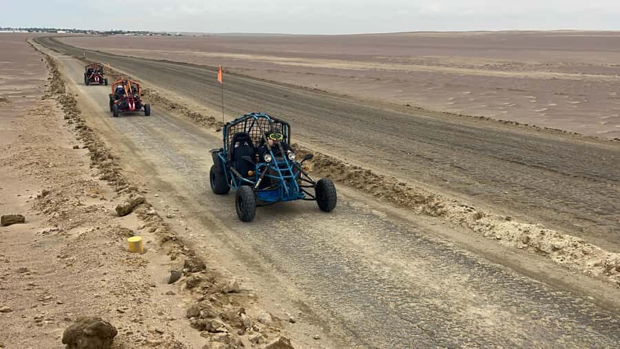 Mini Buggy GO KART in Paracas National Reserve - Key Highlights You’ll Actually Notice