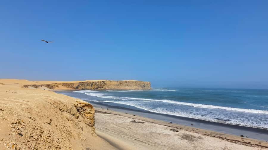 Mini Buggy GO KART in Paracas National Reserve - What to Bring (And Why You’ll Feel It)