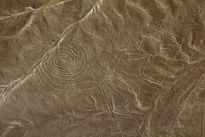 Nazca Lines & Ballestas Islands Private Tour Bus&Flight from Lima - Nazca Lines from a 12-Seat Cessna: Seat Position Is Everything
