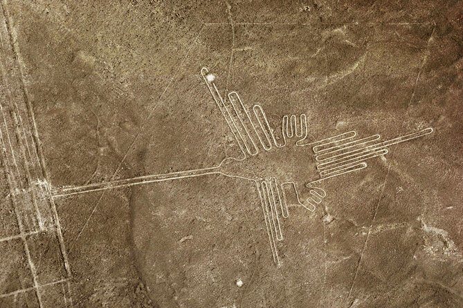 Nazca Lines & Ballestas Islands Private Tour Bus&Flight from Lima - Price and Value at $818: What You’re Actually Buying