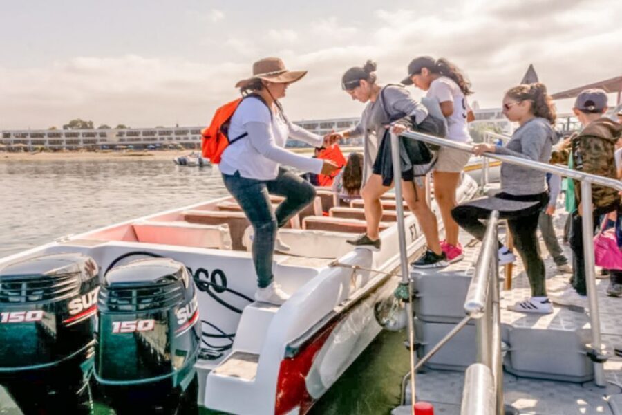 Paracas: Ballestas Islands Morning Boat Tour - Guide energy and wildlife spotting: what to look for