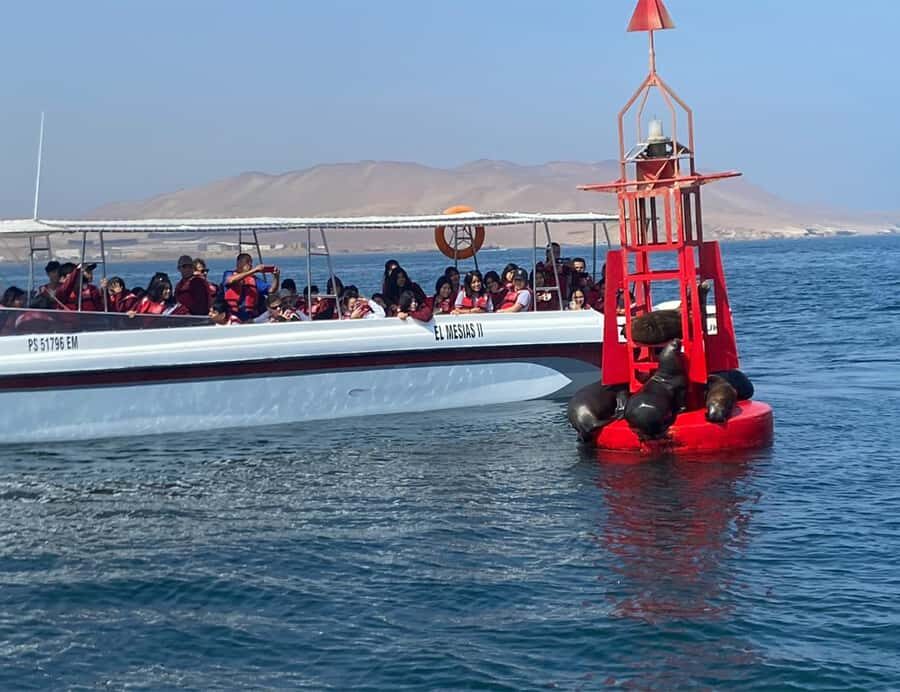 Paracas: Ballestas Islands Morning Boat Tour - Rules that affect the day: kids, pets, and pregnancy