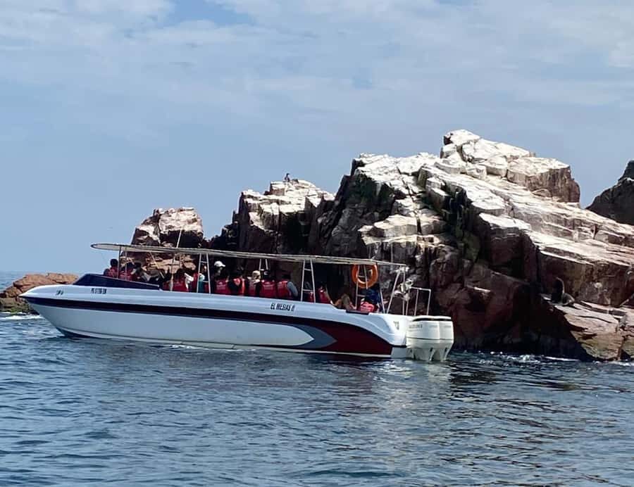 Paracas: Ballestas Islands Morning Boat Tour - Who should book this Paracas Ballestas Islands morning tour