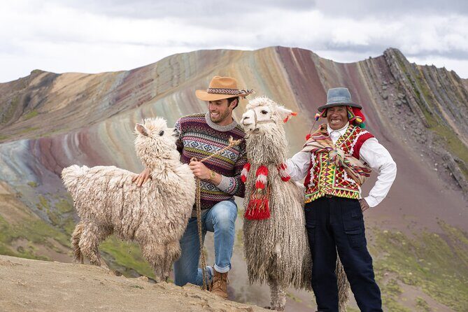 PRIVATE Palccoyo Rainbow Mountain tour - Stop on the way out: alpacas, llamas, and a quick colonial bridge moment