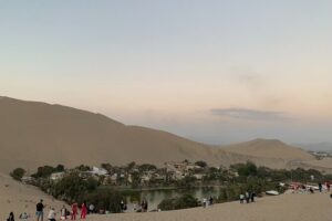 Private Tour to the Astonished Nazca Lines and Huacachina Oasis - Nazca Lines flight from the Paracas area: what to look for in the sky