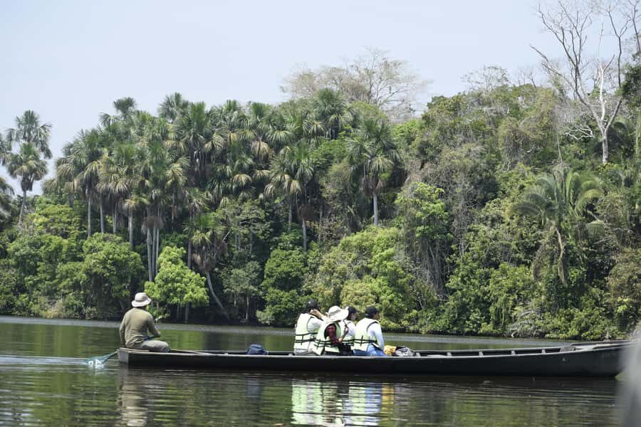 Puerto Maldonado: 4-Day Tambopata Rainforest Tour - Tambopata from Puerto Maldonado: what makes this tour work