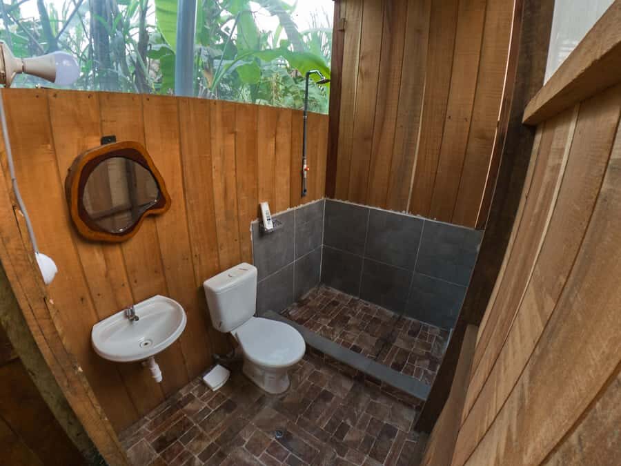 Puerto Maldonado: 4-Day Tambopata Rainforest Tour - Day 2: sloth search by river, then Lake Sandoval and giant river otter odds
