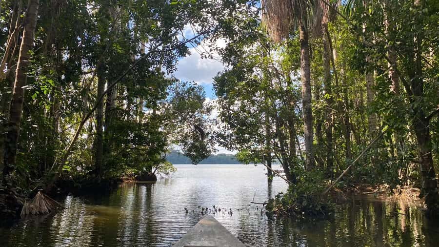 Puerto Maldonado: Sandoval Lake 4-Day, 3-Night Guided Tour - Quick hits you’ll feel in your boots