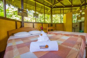 Puerto Maldonado: Sandoval Lake 4-Day, 3-Night Guided Tour - Monkey Island across the Madre de Dios: what you’ll actually watch for