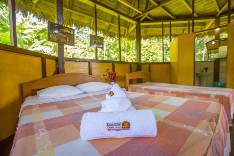 Puerto Maldonado: Sandoval Lake 4-Day, 3-Night Guided Tour - Monkey Island across the Madre de Dios: what you’ll actually watch for
