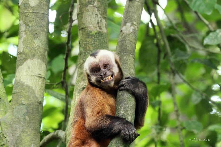 Puerto Maldonado: Sandoval Lake 4-Day, 3-Night Guided Tour - Price and value: what $300 covers, and what you should budget for