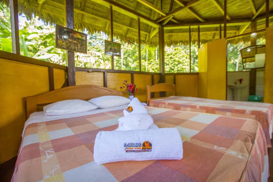 Puerto Maldonado: Sandoval Lake 4-Day, 3-Night Guided Tour - Monkey Island across the Madre de Dios: what you’ll actually watch for