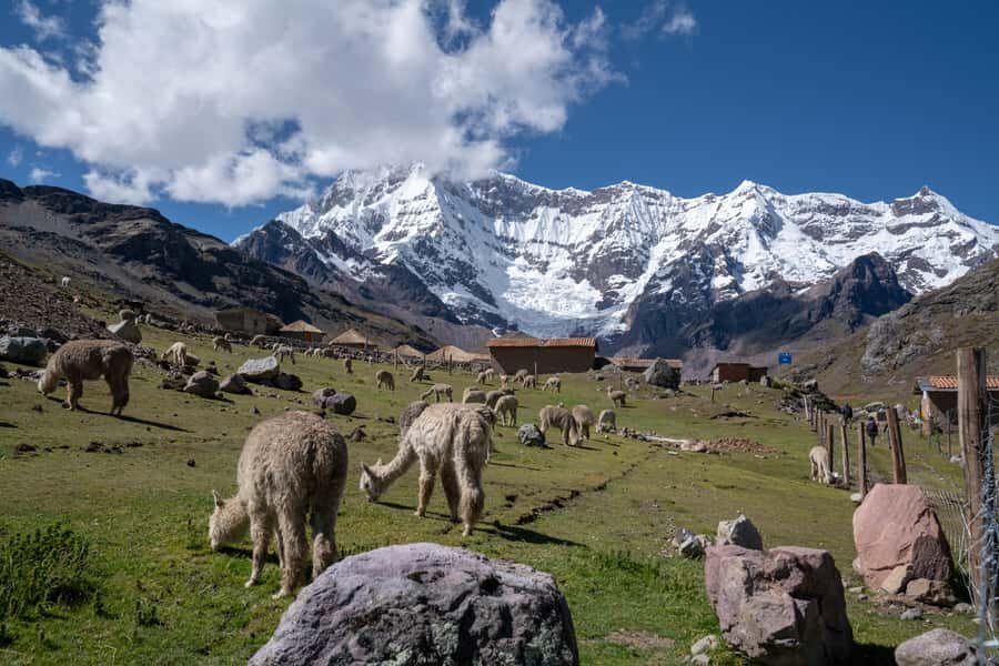 Rainbow Mountain Cusco tour - Breakfast and the hike start: fueling for altitude