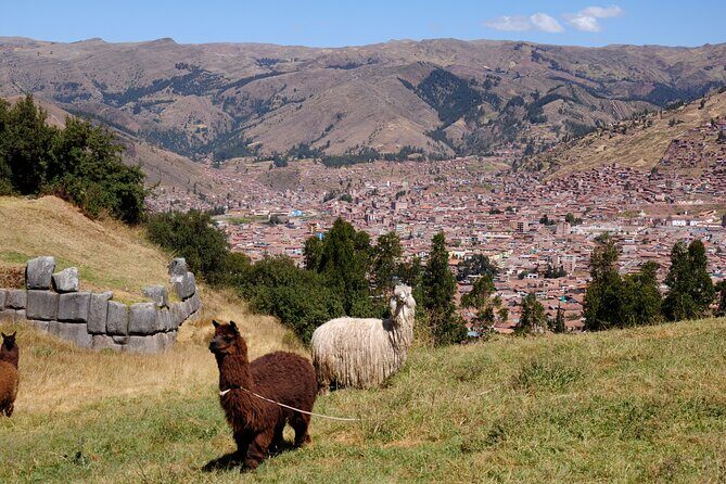 Sacsayhuaman Temple, Tambomachay and Puca Pucara Half-Day Tour - Q’enqo Shrine and Puca Pucara: Short Stops That Still Hit Hard