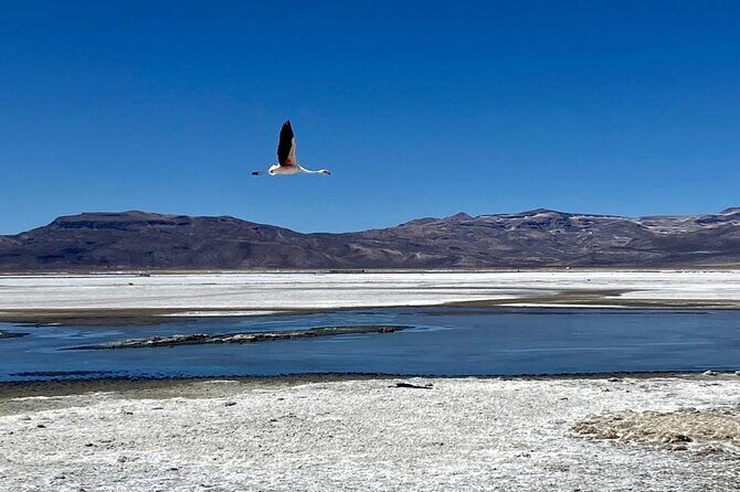 Salinas National Reserve PRIVATE TOUR - Getting there smoothly: timing, roads, and what to pack