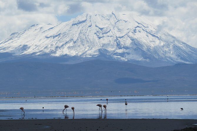 Salinas National Reserve PRIVATE TOUR - Price and value: what $118 buys you (and why it’s not just the view)