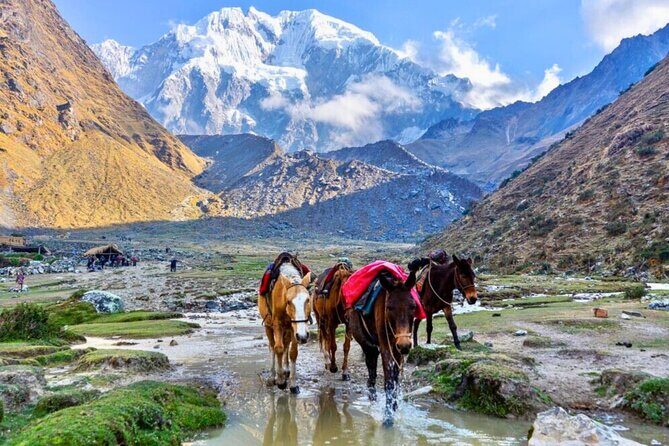 Small Group 5 Days Salkantay and Machu Picchu by Llactapata Tour - Price and logistics: what you’re really paying for