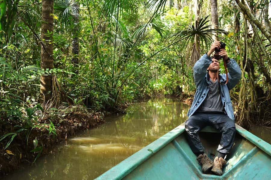 Tambopata Peruvian Amazon Jungle for Three Days/Two Nights - Night Forest Walk: The Jungle Changes Gears