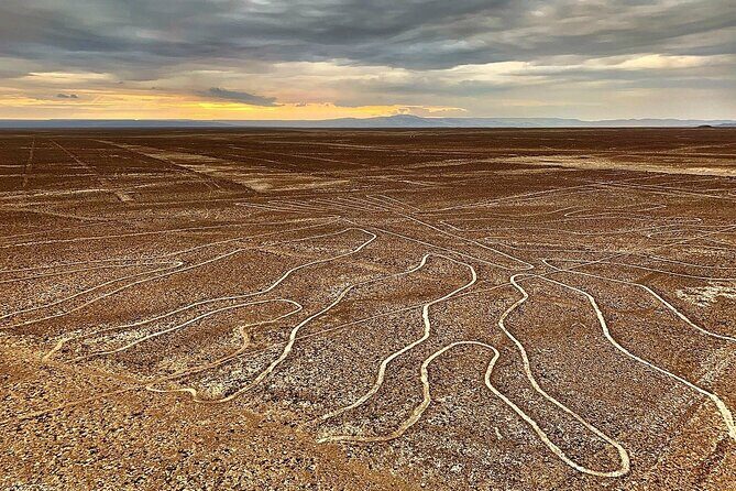 The Nazca Lines & Huacachina Oasis from Lima - Private Trip - Flying over the Nazca Lines: what you’ll actually see