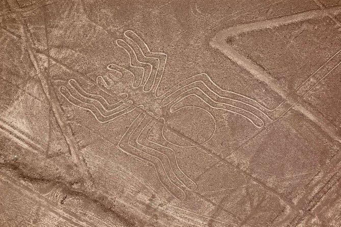 The Nazca Lines & Huacachina Oasis from Lima - Private Trip - Price and what you actually get for $485
