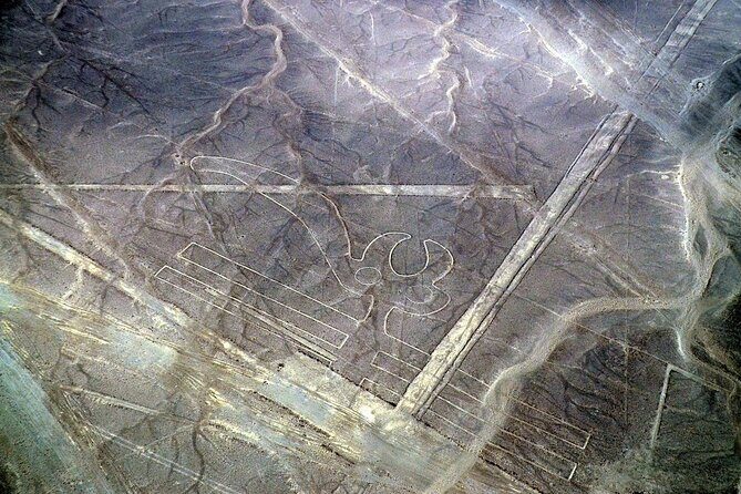 The Nazca Lines & Huacachina Oasis from Lima - Private Trip - Tips to survive the 18-hour rhythm