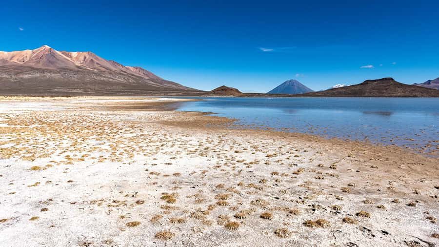 Tour to the Salinas Lagoon and National Reserve in Arequipa - FAQ