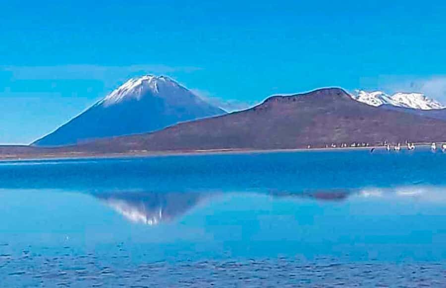 Tour to the Salinas Lagoon and National Reserve in Arequipa - Laguna de Salinas: Water Mirrors, Reflections, and Photo Time