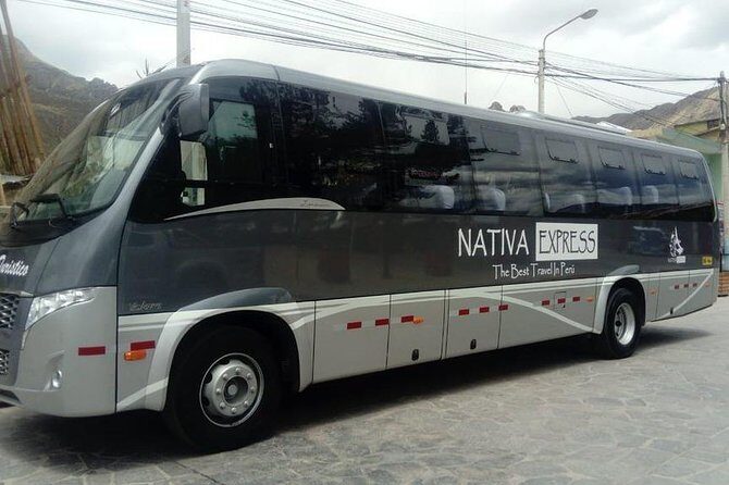 Turist Bus Colca Canyon (Chivay) To Puno - Tocrapampa: animal spotting with a technical stop