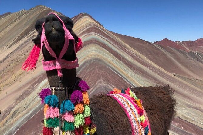 Vinicunca Rainbow Mountain Full-Day Tour from Cusco - The 4 km Hike to 5,000 m: What It Feels Like and How to Pace It