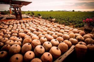 Winery and Pisco Distillery tour - El Arrabal + La Vieja Bodega Lovera: Where the Day Gets Personal