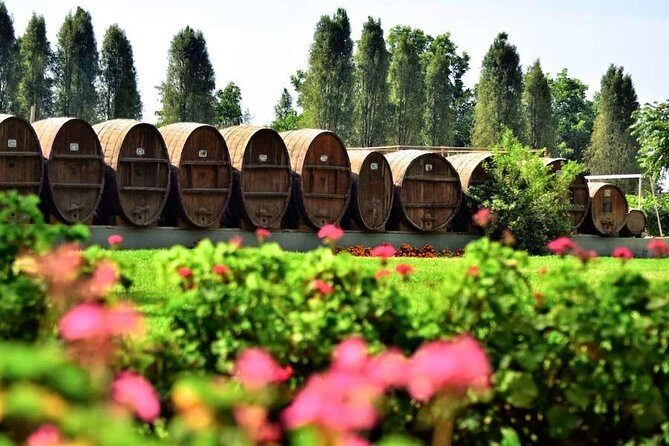 Winery and Pisco Distillery tour - Bodega Nietto: Family Craft Since 1857