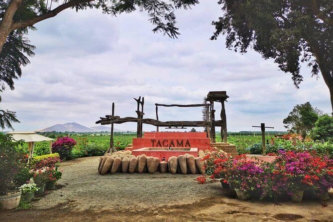 Winery and Pisco Distillery tour - Tastings, Timing, and How to Make the Most of the Day