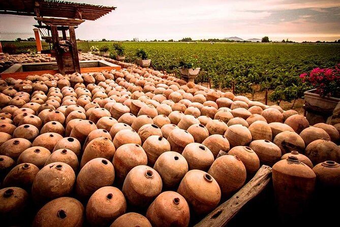 Winery and Pisco Distillery tour - El Arrabal + La Vieja Bodega Lovera: Where the Day Gets Personal